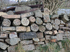 
Tuyeres at Cwm Defn near the Upper Brick Yard, January 2025