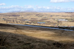 
Garn-yr-erw from Coity, March 2010