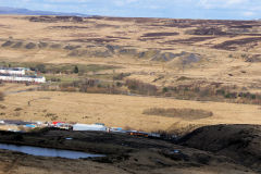 
Garn-yr-erw from Coity, March 2010