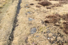 
Hill Pit tramroad, Blaenavon, March 2010