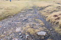 
Hill Pit tramroad, Blaenavon, March 2010