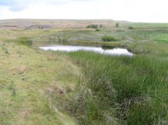 
New Pit reservoir, Blaenavon, July 2010