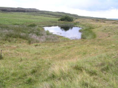 
New Pit reservoir, Blaenavon, July 2010