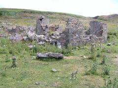 
Tir Abraham Harry, Blaenavon, July 2010