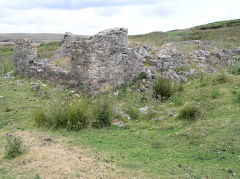 
Tir Abraham Harry, Blaenavon, July 2010