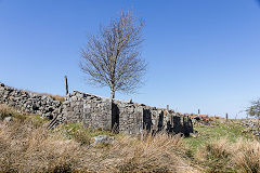 
The ruins of Pen Rhiw Ifor, April 2015