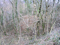
Level above the forest road, Risca Blackvein, March 2010