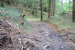 
Waun-fawr Tramroad from previous point, Risca Blackvein, May 2010