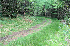 
Waunfawr Tramroad from previous point, Risca Blackvein, May 2010