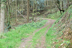 
Waun-fawr Tramroad from previous point, Risca Blackvein, May 2010