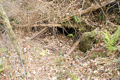 
Well or drainage level, Risca Blackvein, May 2010
