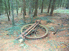 
The winding wheel, Risca Blackvein, October 2007