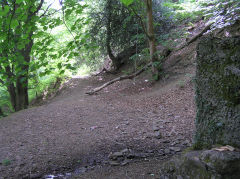 
Cox's Quarry, Crosskeys, Foot of both inclines, May 2010
