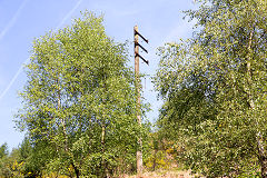 
North Risca Colliery Quarry, telephone pole below the quarry, May 2014