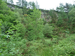 
Coed Mamgu Quarry, Pont-y-waun, June 2012