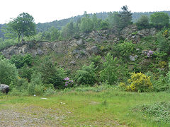 
Gelli-unig Quarry, Pont-y-waun, June 2012