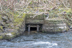 
Riverbank drainage channels, Cwmcarn, March 2016