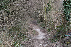 
Halls Road railway trackbed at York Place, Cwmcarn, March 2016