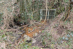 
Prince of Wales Colliery drainage level, Abercarn, March 2016