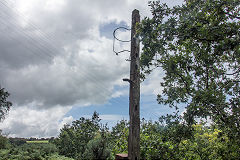 
The signal post on the line to Royal Oak Junction, Swffryd, Auguct 2019