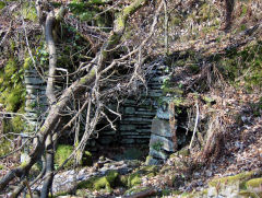 
Ruins near the Ivorites, March 2009