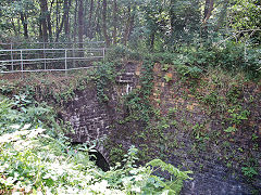 
Marine Colliery sidings bridge to the South of the colliery, August 2021