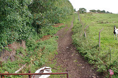 
Silent Valley incline above footbridge, Ebbw Vale, September 2010