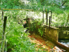 
Llanover Colliery drainage level, July 2013
