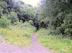 
Trackbed to Oakdale from Llanover Colliery, July 2010