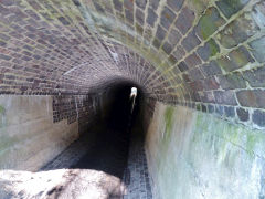 
Abernant-y-felin culvert under viaduct, Markham, March 2013