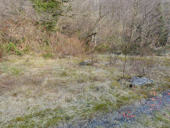 
Abernant Colliery, foundations below tips at SO 1724 0150, March 2013