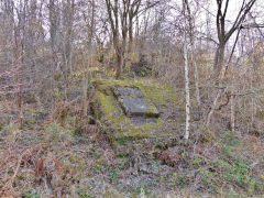 
Abernant Colliery foundations at SO 1710 0145, March 2013