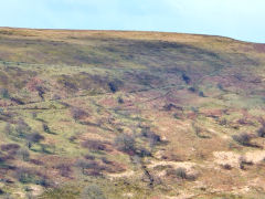 
A panorama of the Bedwellty Quarry and levels, March 2014