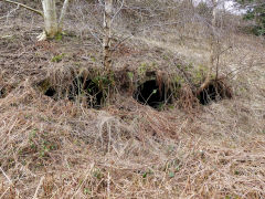 
The derelict Northern coke ovens, Hollybush, March 2013