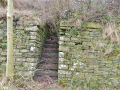 
LNWR steps to Hollybush Colliery, March 2013