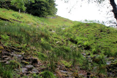 
SE level tip, Troedrhiwgwair Woods, June 2011