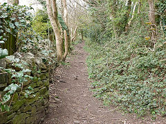 
Bryngwyn Colliery Incline to railway, April 2012