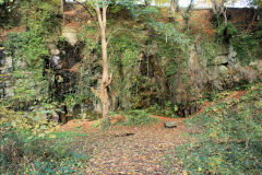 
Gelli-wasted Quarry (ST 1971 8892) was a small quarry beside the BMR and its predecessor, the Rumney Railway, marked as 'old' in 1875 but not in 1901, 'old' again in 1920, October 2010