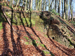 
Craig-y-llan lime kins, Rudry, January 2501