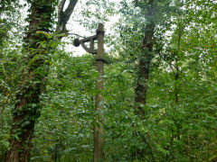 
Bovil Colliery Sidings, Machen, a lamp post that now lights nothing, October 2012