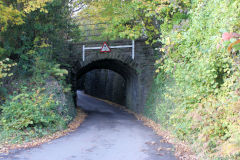 
Dranllwyd Lane lower bridge, Machen, October 2010