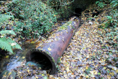 
Forge tramway, Cae-bach culvert pipe, Machen, October 2010