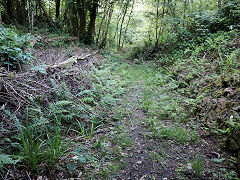 
Course of the tramway in the Warren, Caerphilly, May 2026