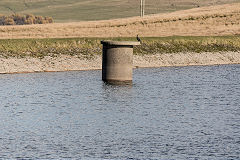 
Rhaslas Pond Outtake pipe, November 2018