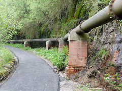 
The sewerage pipe above Hafod Arch, Clydach Gorge, May 2012