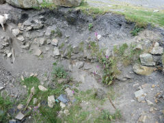 
A collapsing culvert near the cottage on Blaenavon Stone Road, July 2012