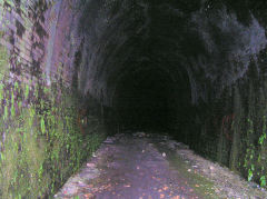 
Clydach Tunnel North bore, interior to East, August 2010