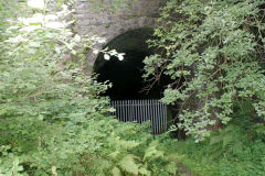 
Gellifelen Tunnel, West portal, South bore, August 2010