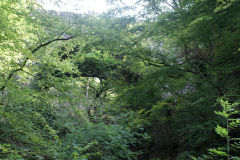 
Sychnant Viaduct, Llanelly Hill, August 2010