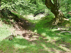 
Pant-yr-eos reservoir tramway incline foot looking up, June 2012